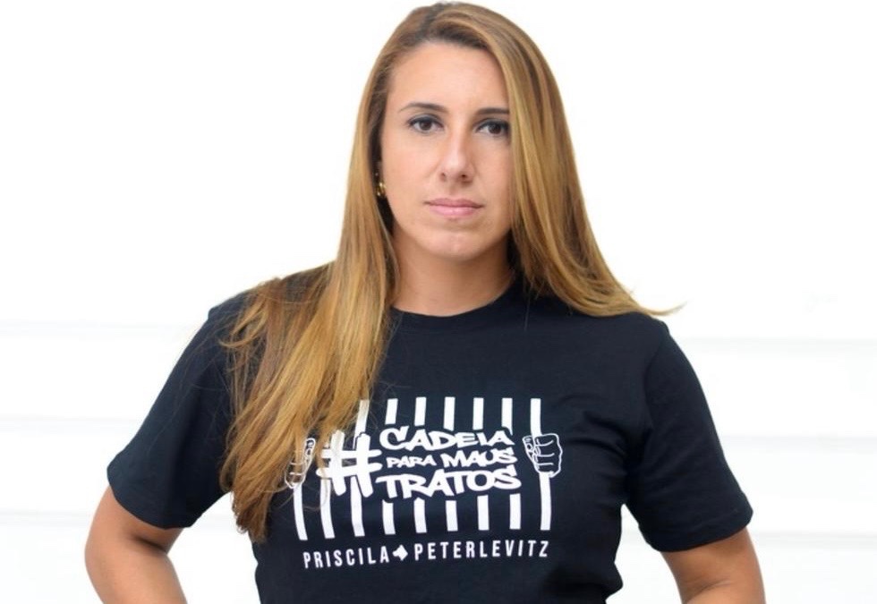  Projeto que proíbe uso de coleiras antilatido é aprovado em Nova Odessa