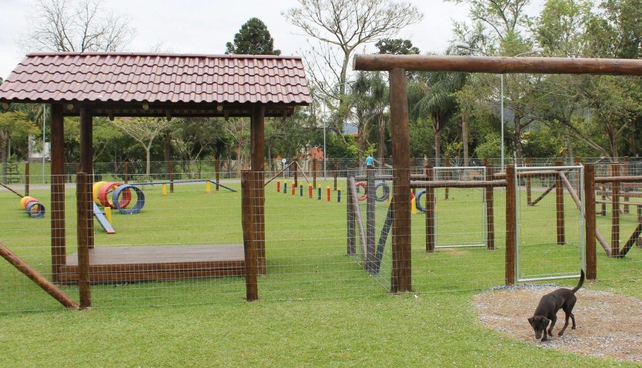 2020318_ParCão